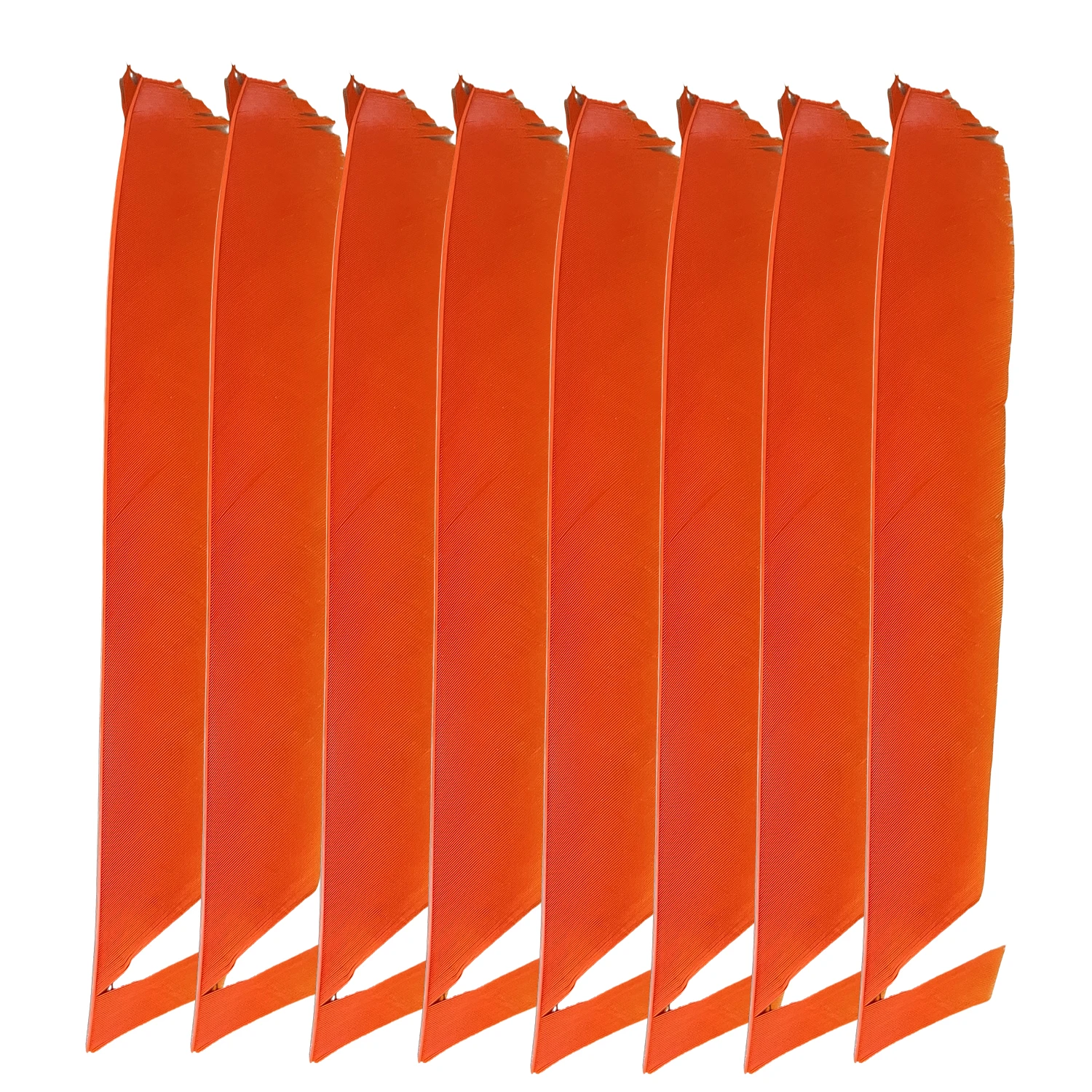 50Pcs 9-10Inch Fletching Arrow Feathers Multicolor Full length Real Turkey Feather NO Cut