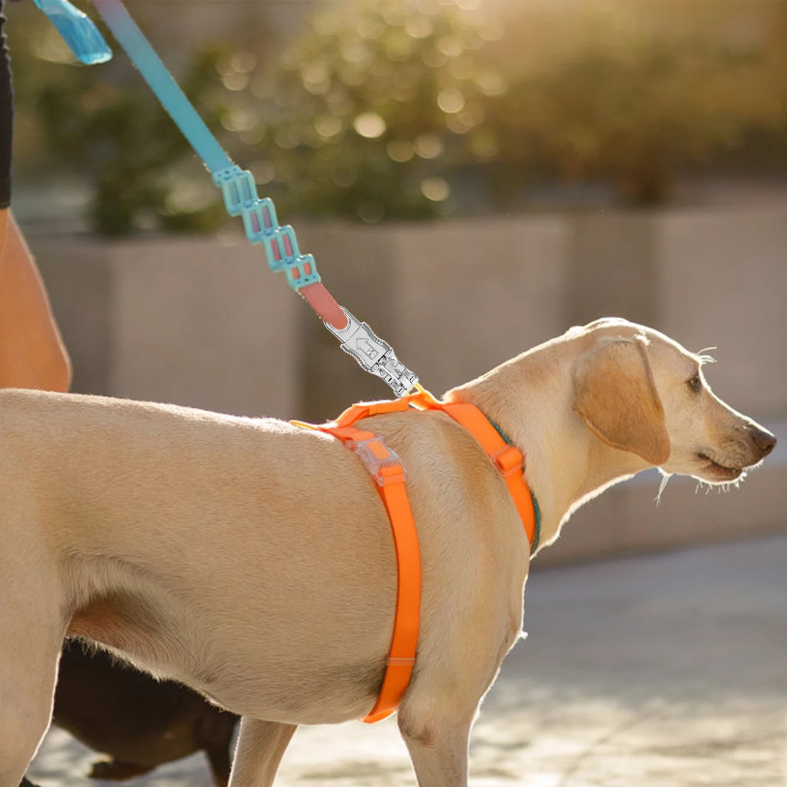 

2Pcs Metal Snaps Hooks Dog Collar Buckles Traction Hardware Quick Release Clip Dog Travel Supplies Backpack Bolt Snap