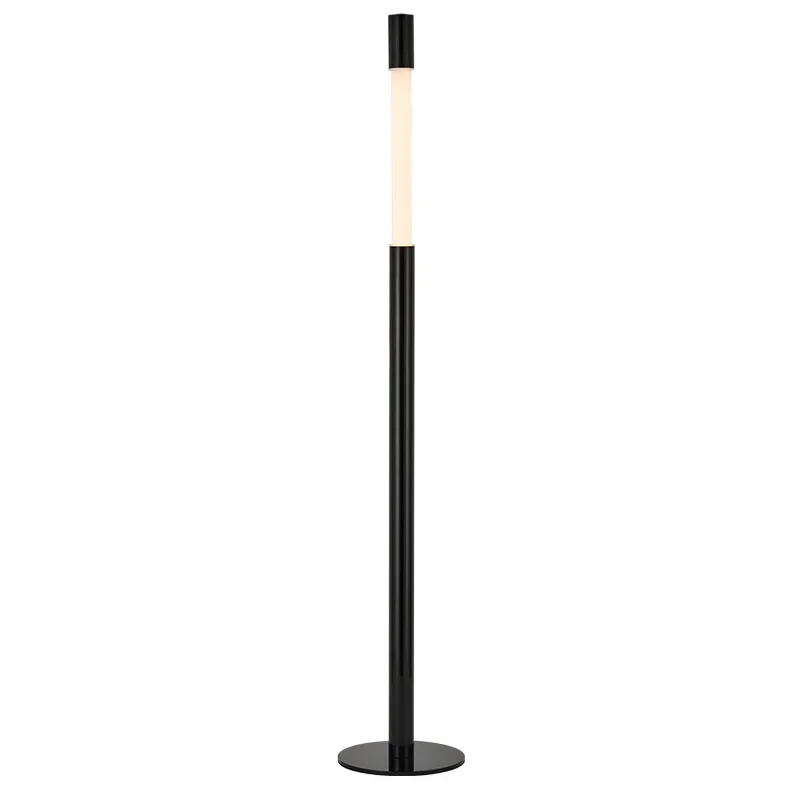 

Lifting touch floor lamp Modern simple floor lamp next to the high-value sofa in the living room