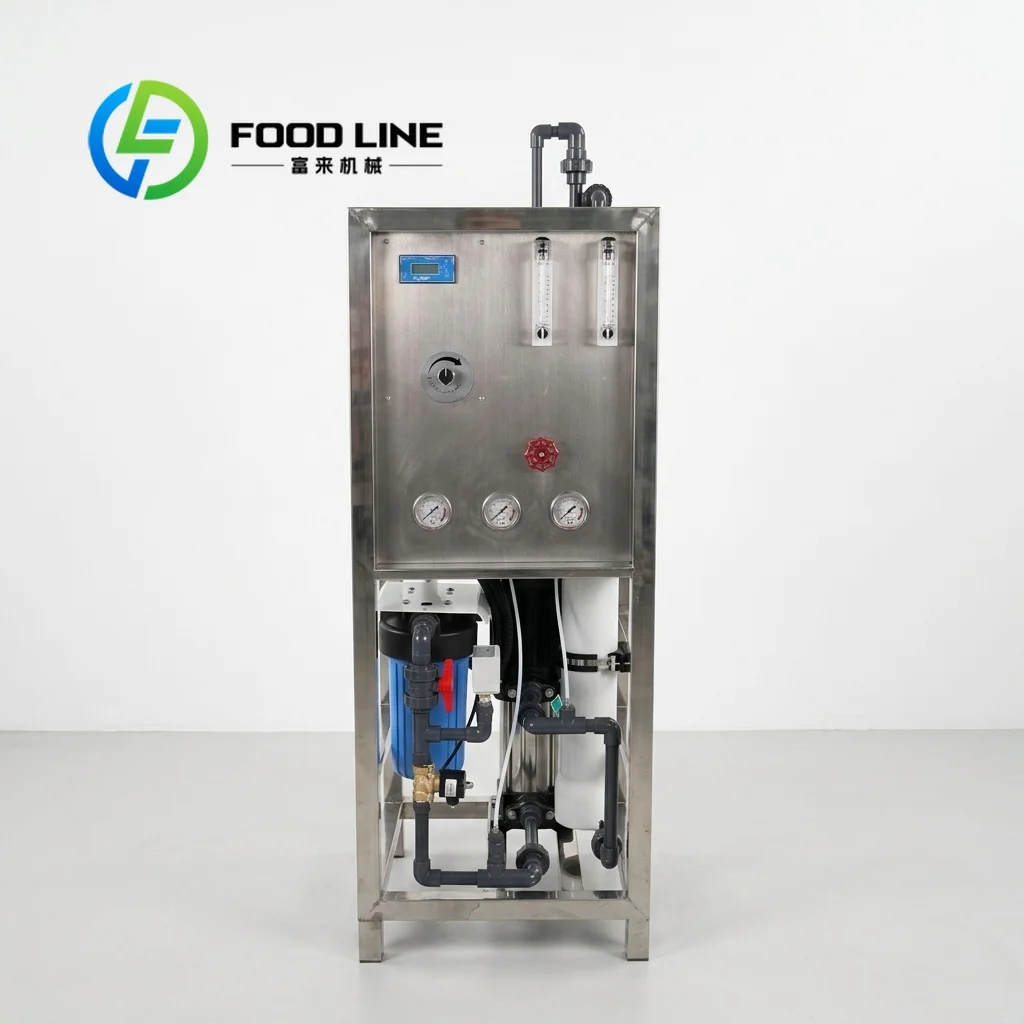 250L/H RO Reverse Osmosis Water Purification System Simple Convenient Water Treatment Equipment customize