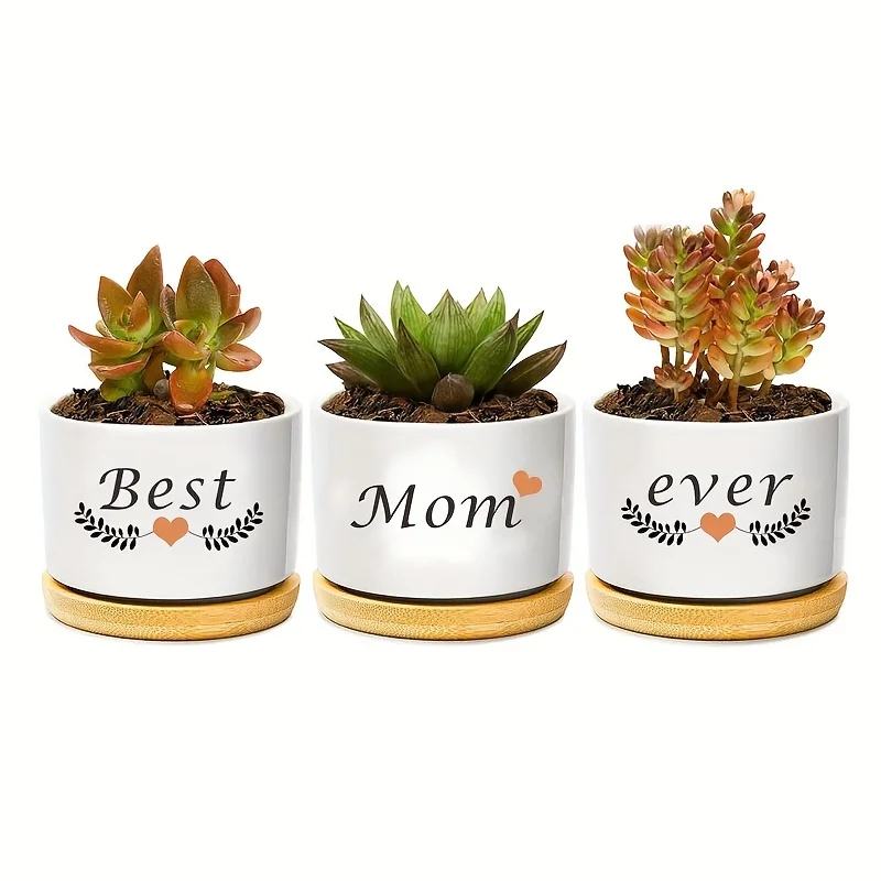 3pcs Set of Hand-painted Ceramic Succulent Pot Plant Pots with Drainage and Bamboo Tray As Desktop Decoration Gift Box