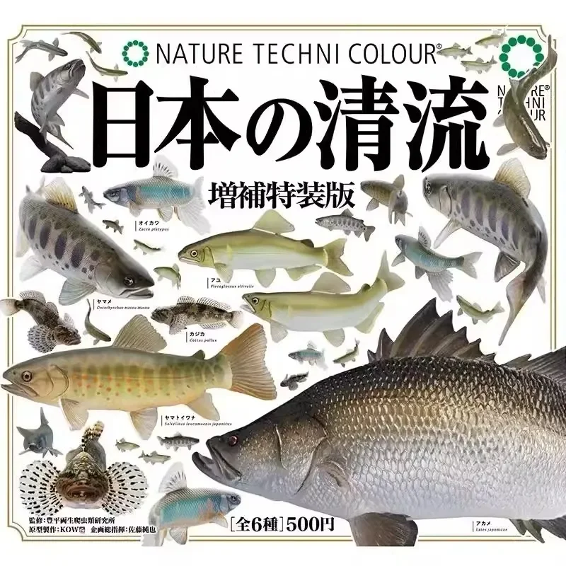 Suplemento de peixe japonês edição especial gashapon brinquedos sweetfish sculppins zacco ornitorrinco figura de ação modelo ornamentos brinquedos