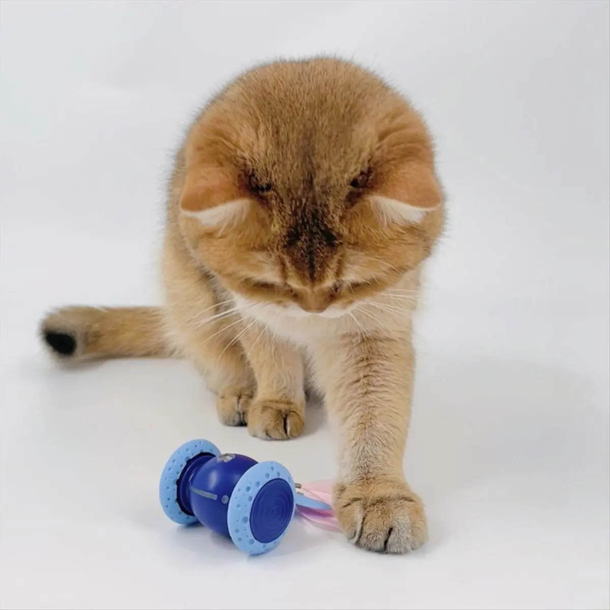 Rechargeable Cat Toys Automatic Obstacle Avoidance Interactive Toys for Cat Intelligent Design Cat Accessories Yellow