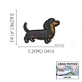 Dachshund