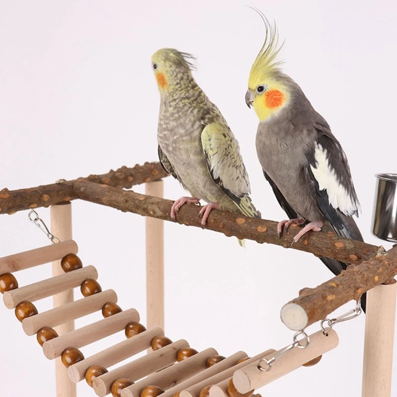 Budgies Cage Toy Stand Swing Parrots Feeding Cup Gym Toy Bridge Climbing Toy for Parakeets Cockatiel Dropshipping