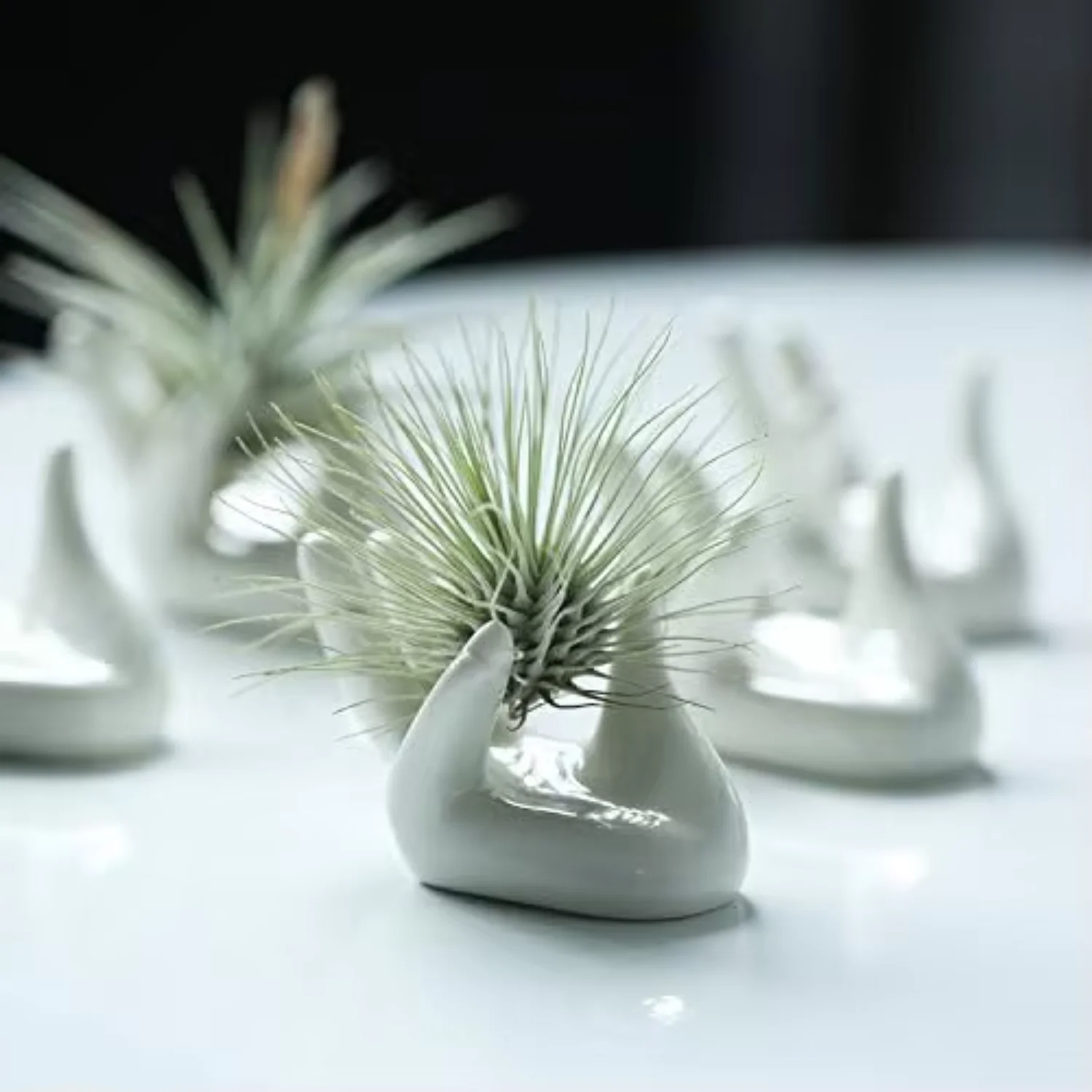 

Ceramic Mini Hand Shape Stand Air Plant Holder Small Container Pot Airplants Tillandsia Holder Display for Office Decor