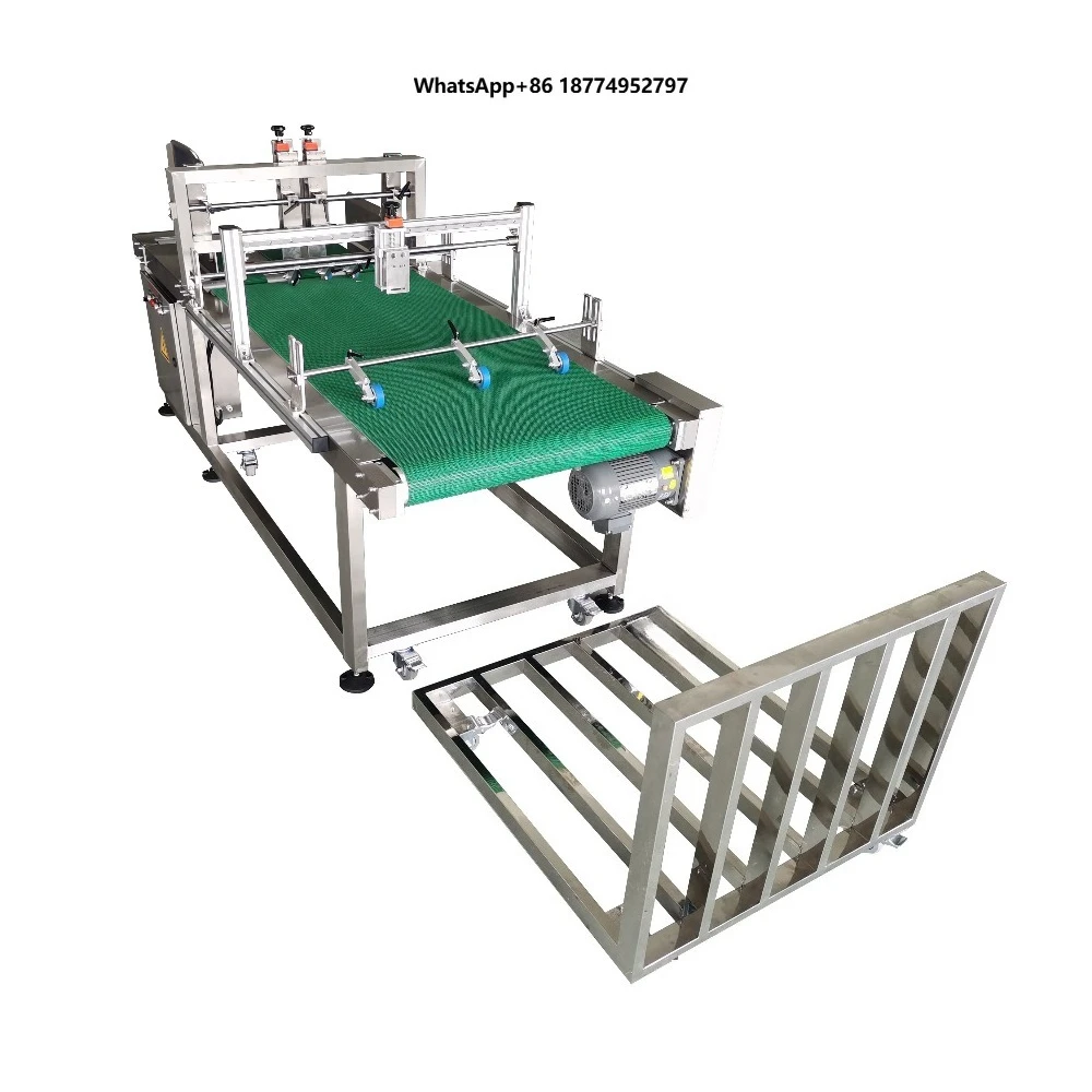 High-Speed Stainless Steel Friction Feeder Paging Machine with Conveyor for Card and Bag Separation 10-110m/min