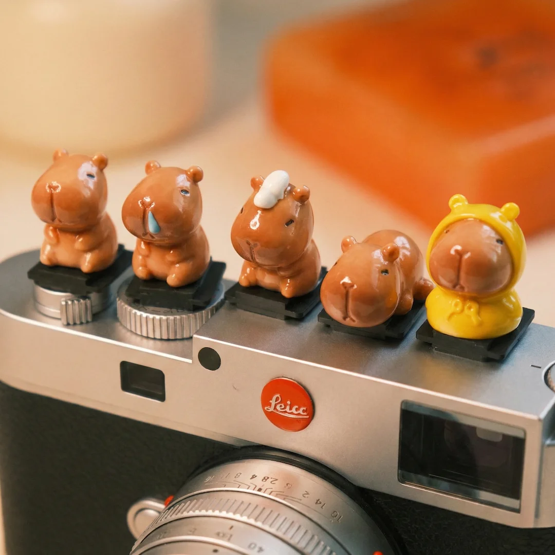 Cubierta de Zapata para Cámara con Diseño de Capibara, Protector de Polvo Universal para Cámaras DSLR y Mirrorless. Decoración Kawaii de Animales para Cámaras Fuji, Sony, Leica, Canon y Nikon