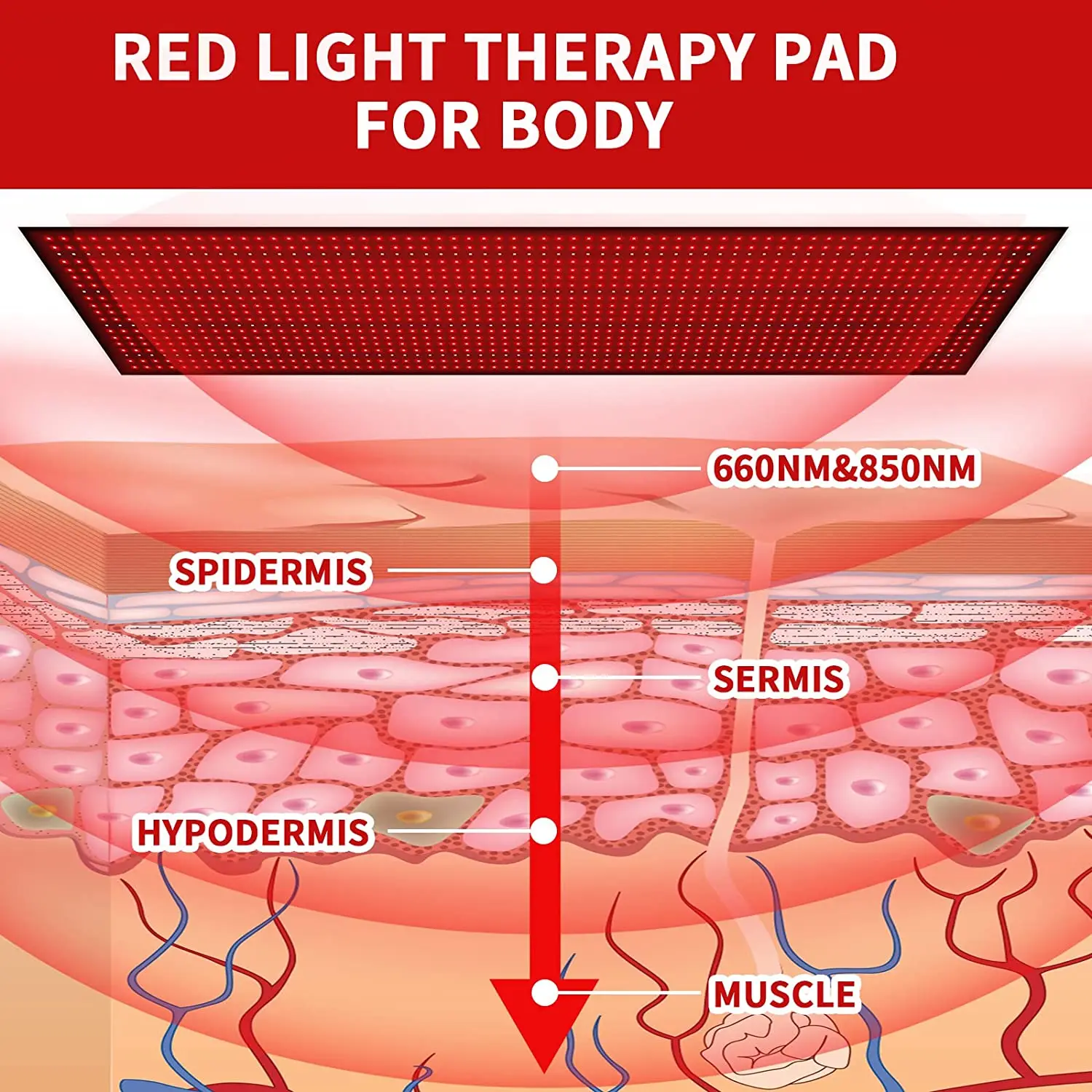 Esterilla de terapia de luz roja, almohadilla de calor envolvente de terapia infrarroja cercana, para alivio del dolor de cuerpo completo,