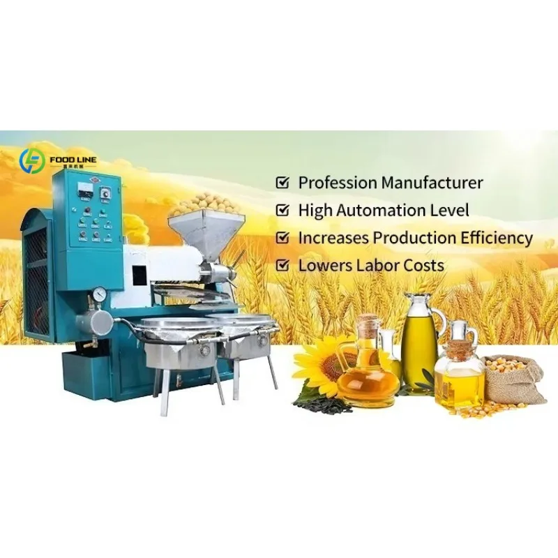 Custom Professional Commercial Oil Expeller Spiral Type for Peanut Palm Kernel Coconut 220V 35-50kg/h Food Processing Equipment
