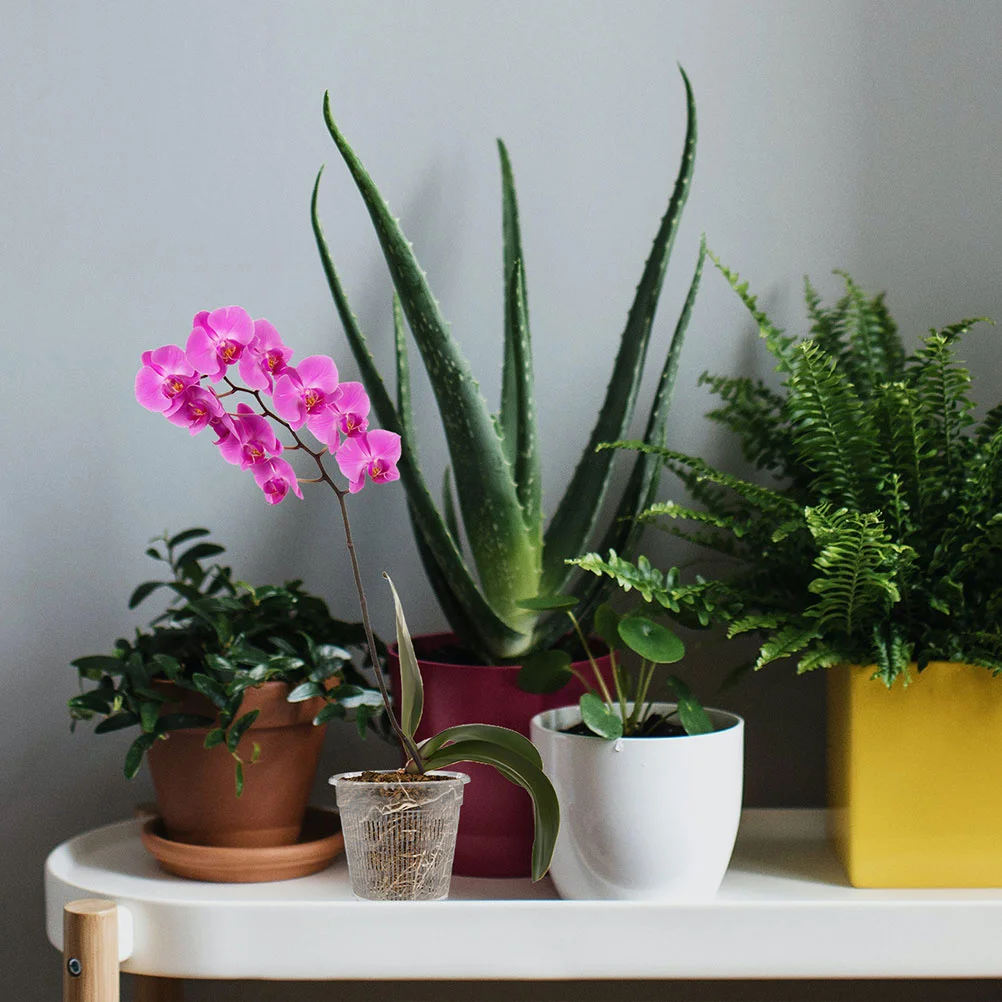 

10 шт. прозрачные пластиковые горшки для контроля корней орхидеи, дышащие детские цветочные горшки, контейнеры для растений в помещении и на открытом воздухе 14x12 см