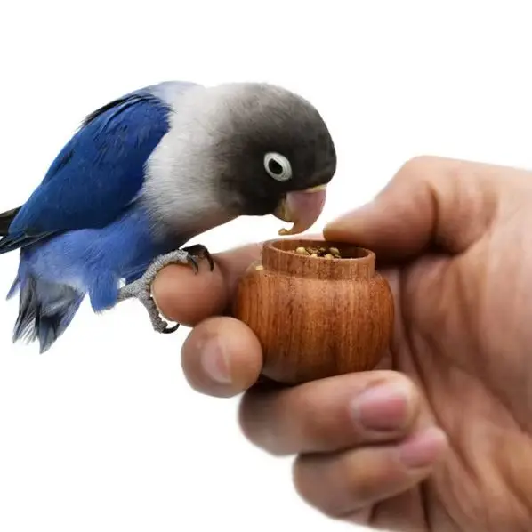 L12 Anti Bite Natural Wood Small Bird Food Bowl Handheld Lightweight Design for Budgie Lovebird Cockatiel Conure Small Pet Birds