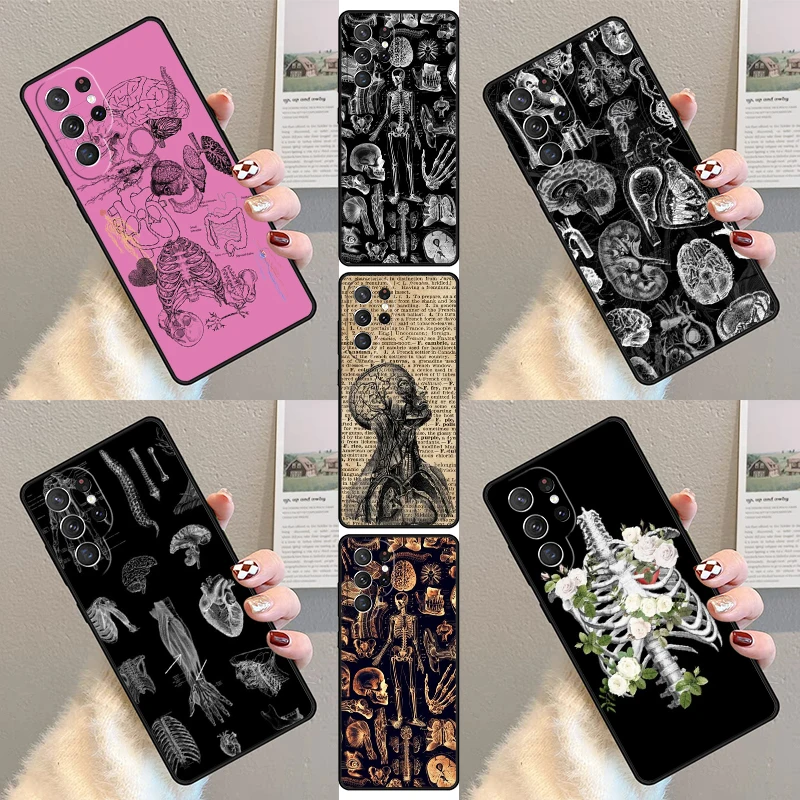 Medical Human Organ… - image