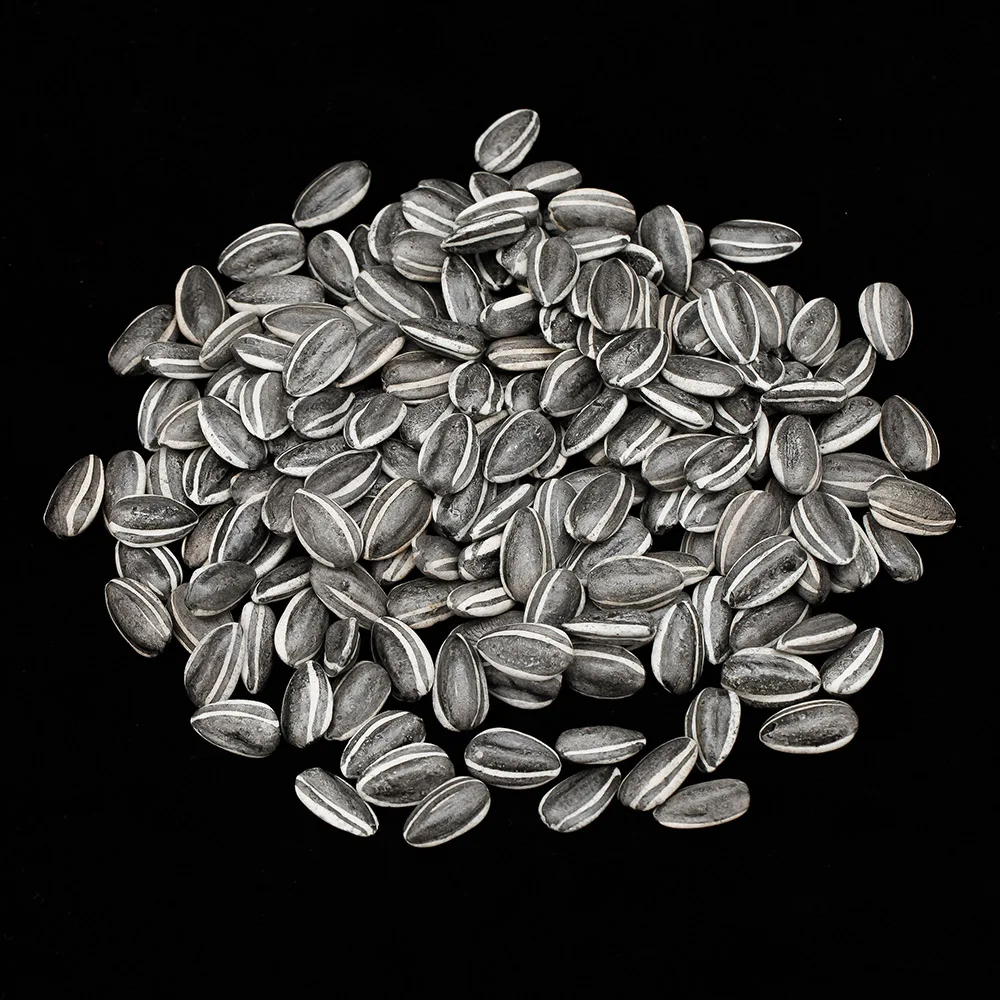 100pcs *Ai Weiwei* PORCELAIN SUNFLOWER SEEDS TATE MODERN LONDON