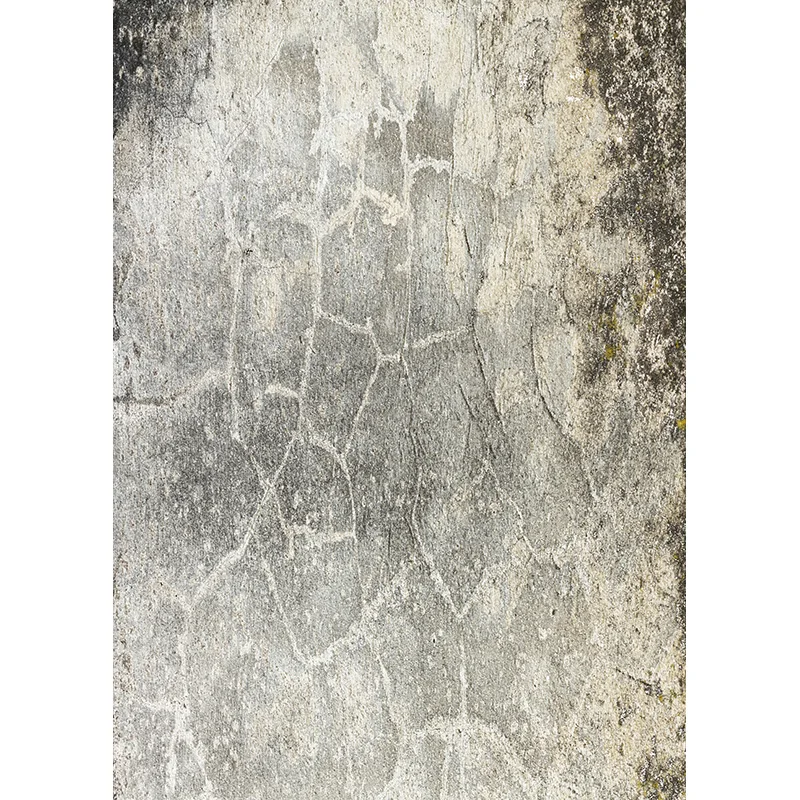 SHUOZHIKE Abstract Vintage Texture Portrait Photography Backdrops Studio Props Gradient Photo Backgrounds  CXSC -31