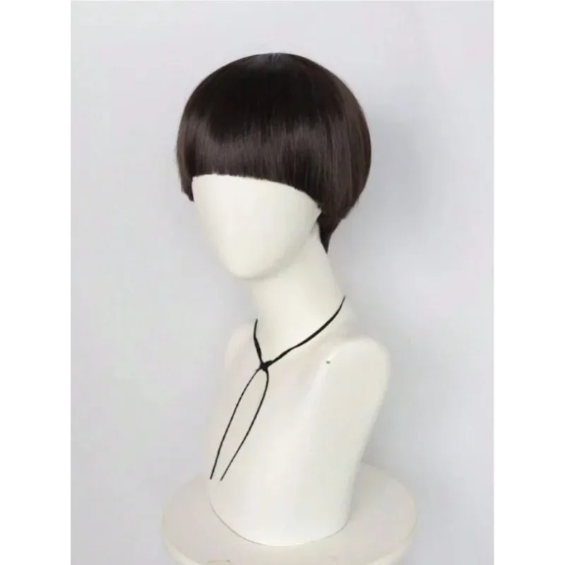 남성용 짧은 갈색 코스프레 가발, 합성 볼컷 헤어, 애니메이션 복고풍 가발, 영화, 할로윈, 크리스마스에 적합