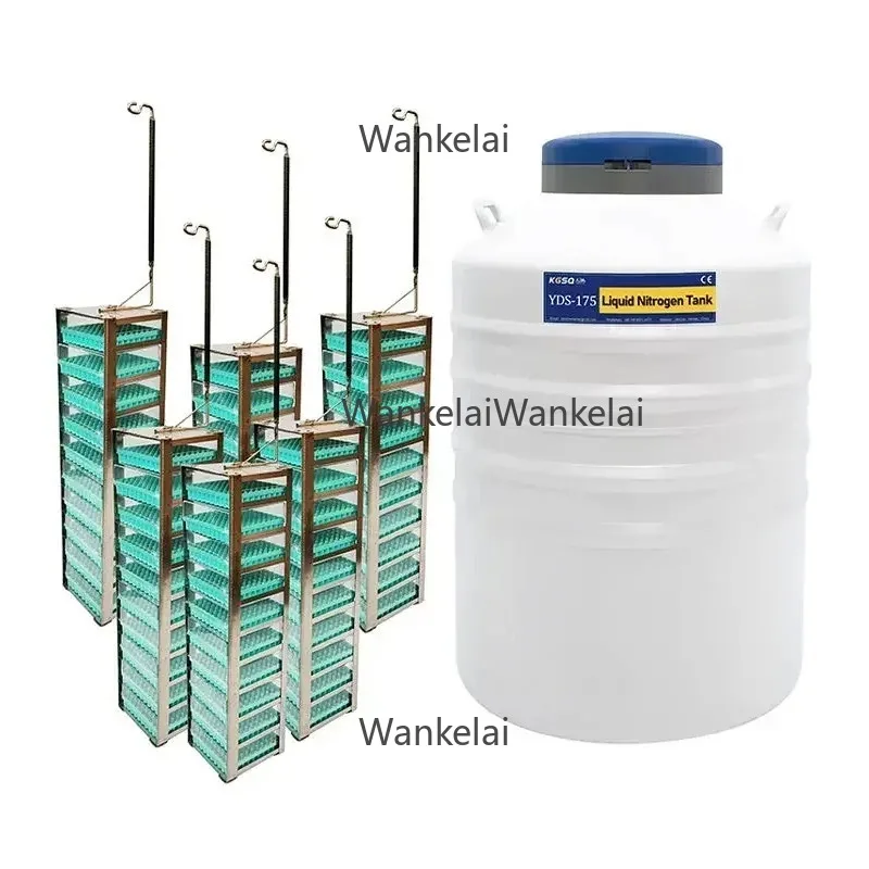 Laboratory Liquid Nitrogen Tank Dewar Tank Liquid Nitrogen Cryogenic Dewar Storage for Sample storage