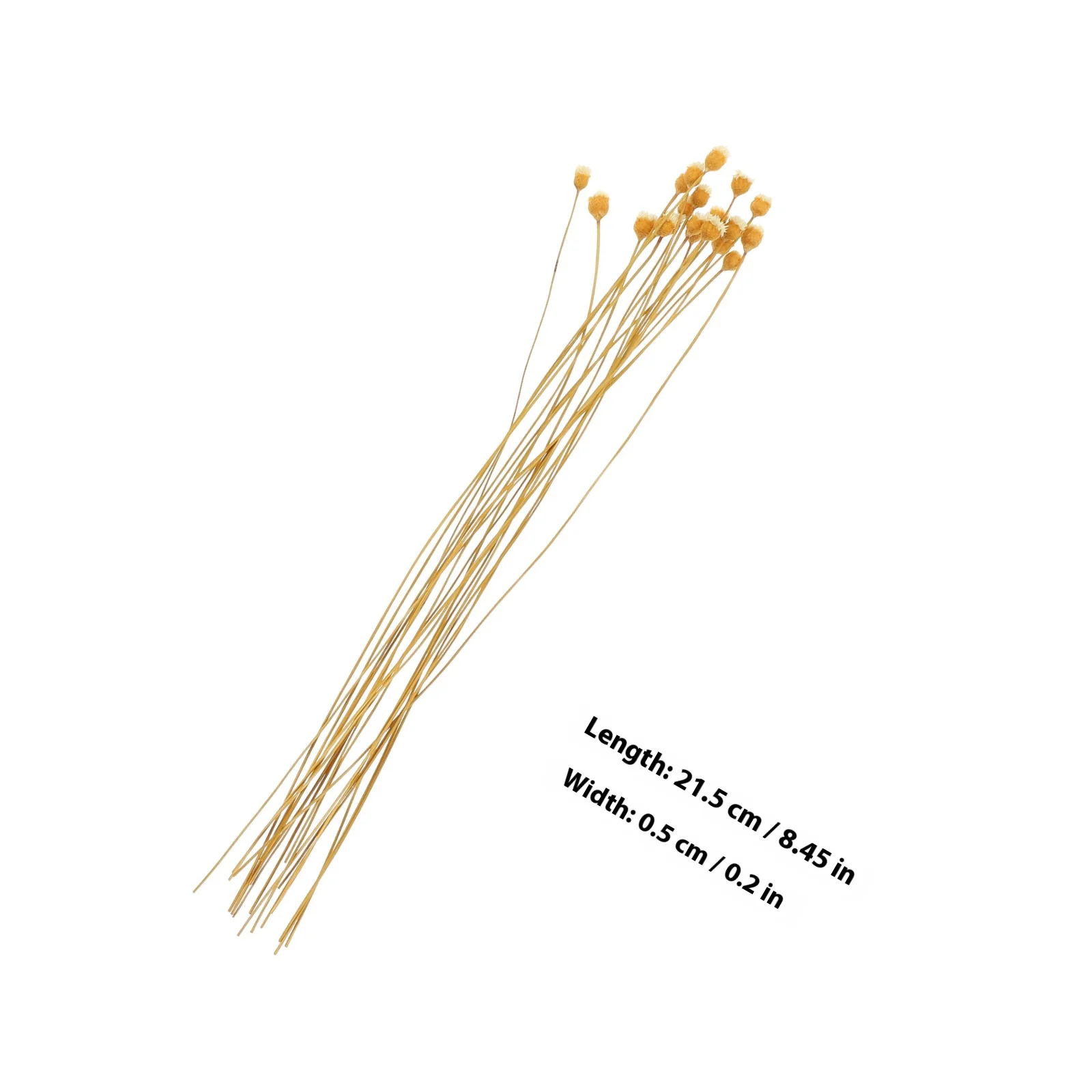 20 قطعة من أعواد الناشر القصب الزهري الآمنة للزيوت العطرية وزجاجة عطر بديلة وعصي الناشر #4