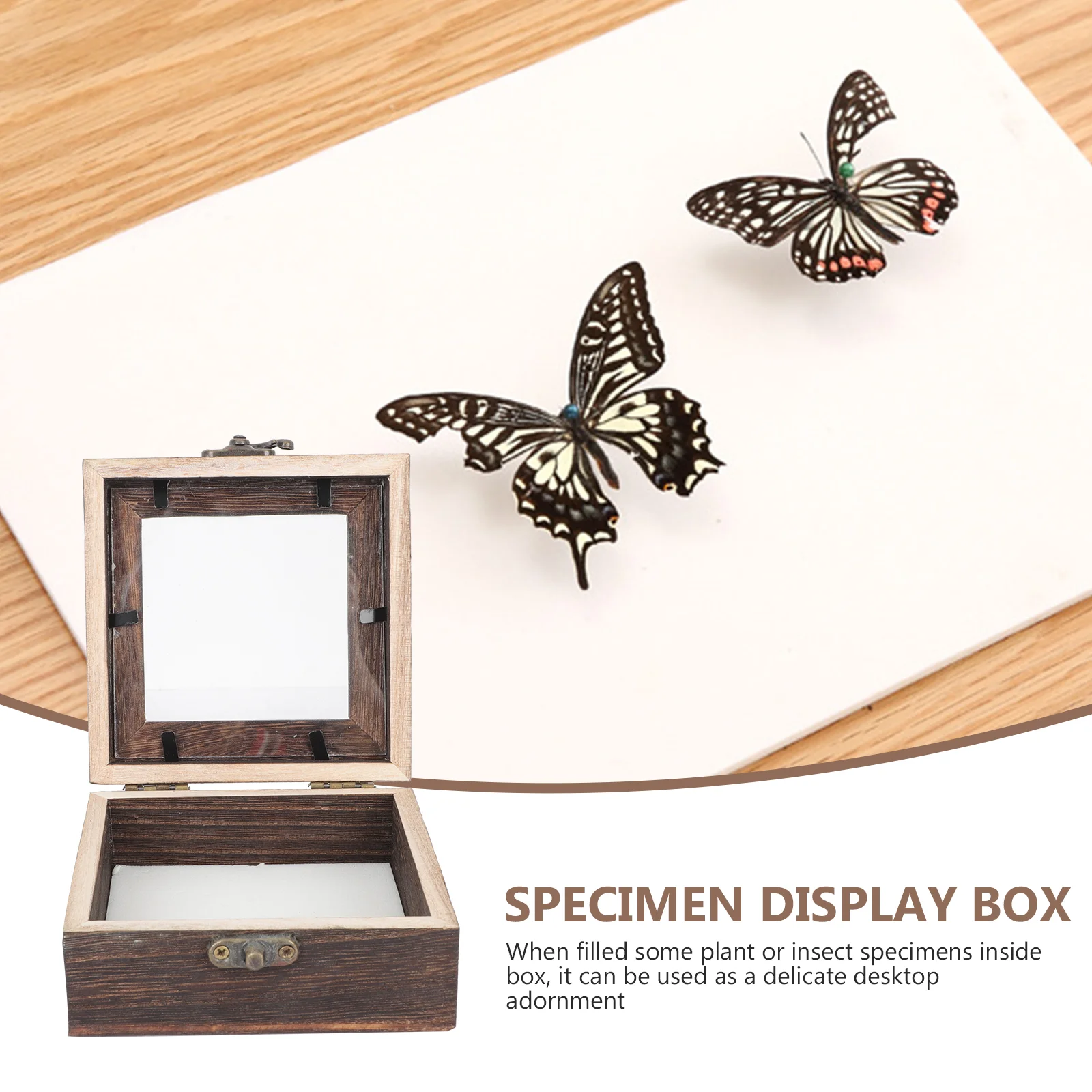 バタフライサンプルボックス,蓋付き木製サンプルボックス,レトロなジュエリーディスプレイホルダー,植物トレイ