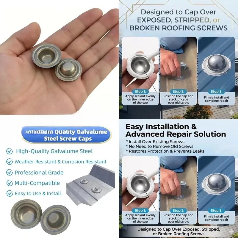 for  Waterproof Rust Proof Sun Proof Metal Roof Screw Cap Carbon Steel Stainless Steel Various Sizes