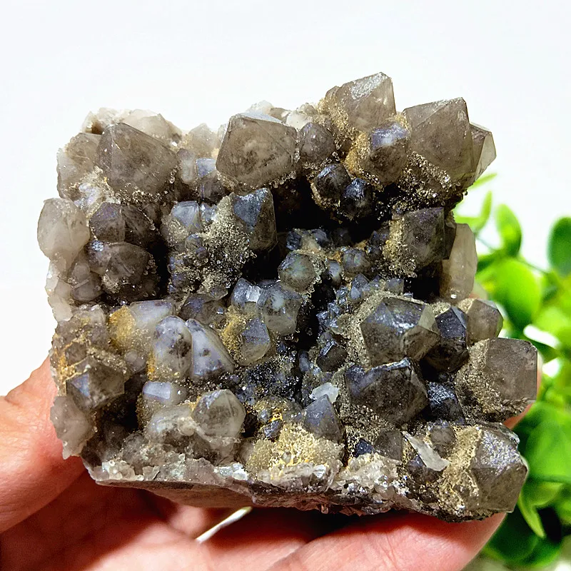 Natural Stones Quartz Crystal Clusters Enclosed In Tea-colored Quart Mineral Samples Witchcraft Energy Feng Shui Room Decoration