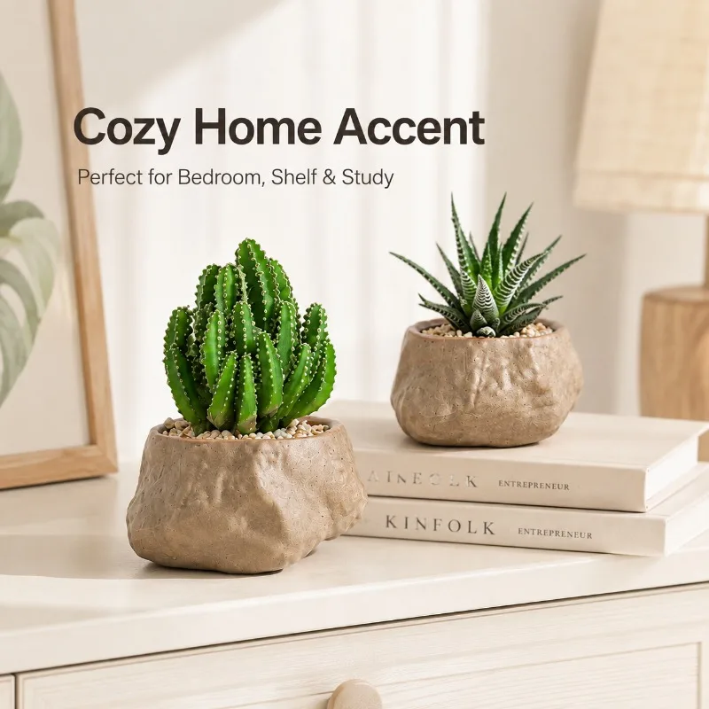 Small Succulent Cactus Pot, Mini Indoor Green Plant for Office Desk Desktop Shelf Bedroom Home Decor Easy Care Greenery Plant