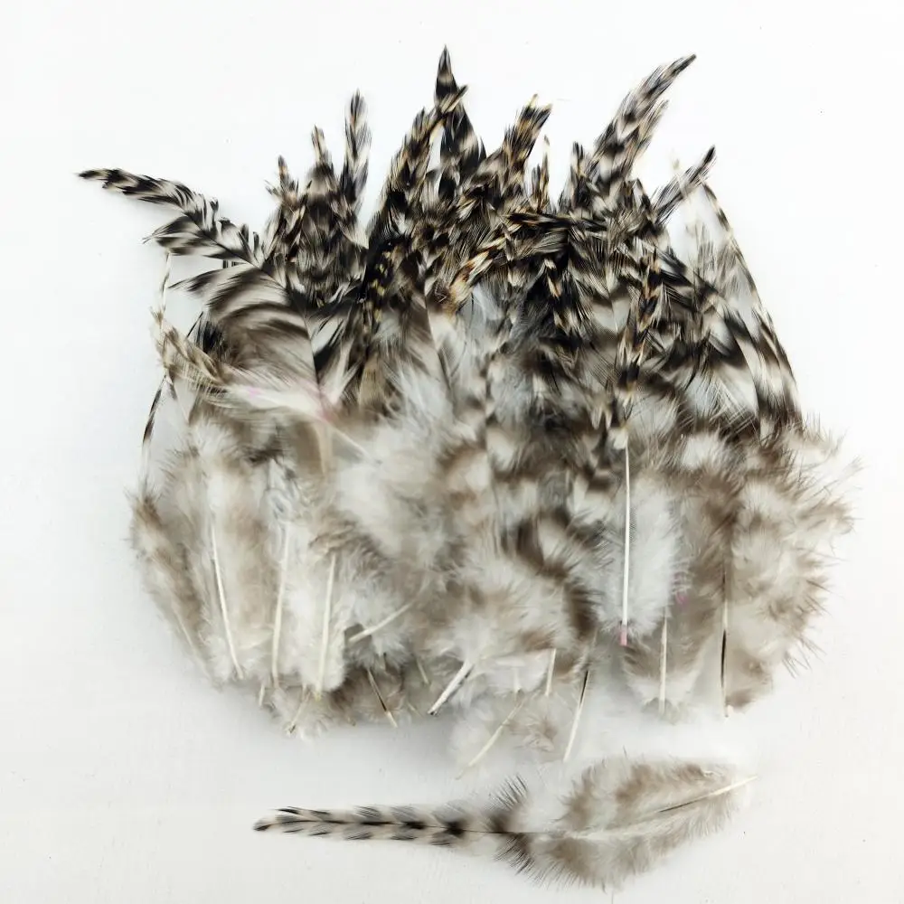 100 قطعة من ريش دجاج ماران الوقواق الطبيعي مقاس 4-6 بوصة يمكنك صنعها بنفسك مجموعة غير مصبوغة للديكور (عبوة واحدة) #3
