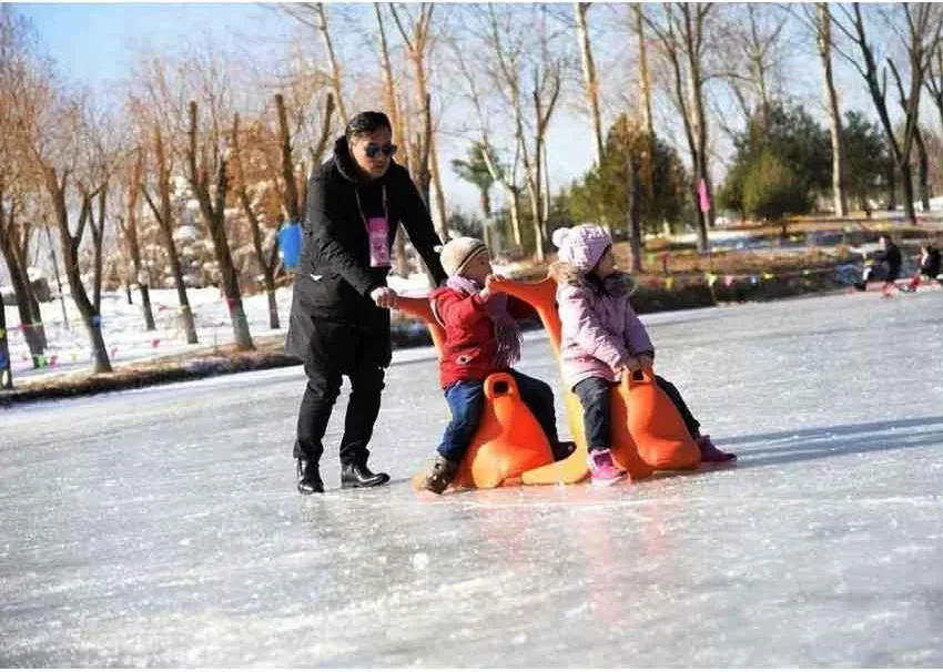 Aide au patinage DolDave sur glace, aide au patinage, directe d'usine, petite baleine blanche, main courante