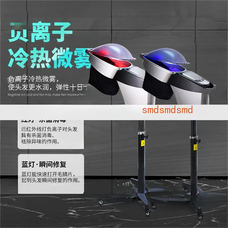 Ozone Biochemical Meter Barber Shop Hair Care Instrument