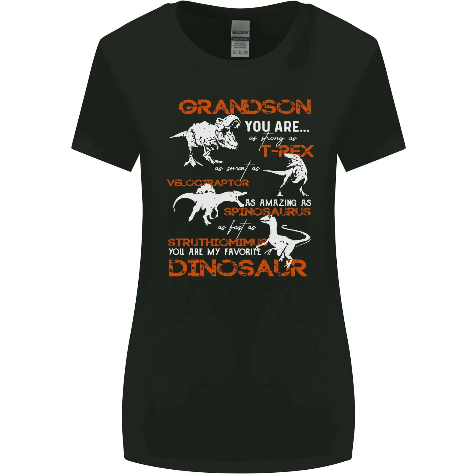 Grandson You Are My Favourite Dinosaur Womens Wider Cut T-Shirt