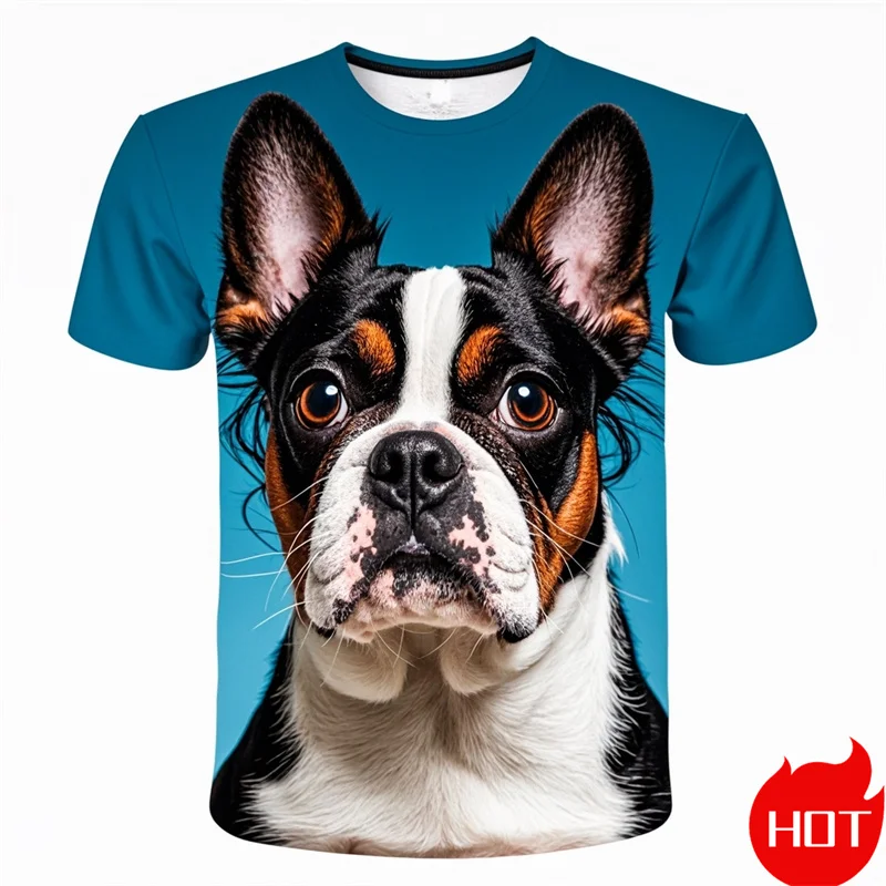 Fashion 3D Cute Doge Boston Terrier Printing T Shirt Kid Funny Streetwear Short Sleeves Unisex Vintage Tee Shirts Mens Clothing