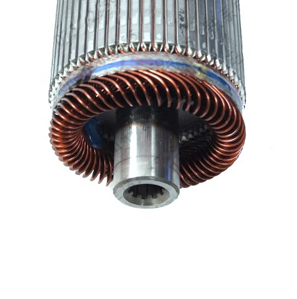 2025 عربة جولف للسيارة الكهربائية Go Kart Motor Armature 10kw 12kw 15kw