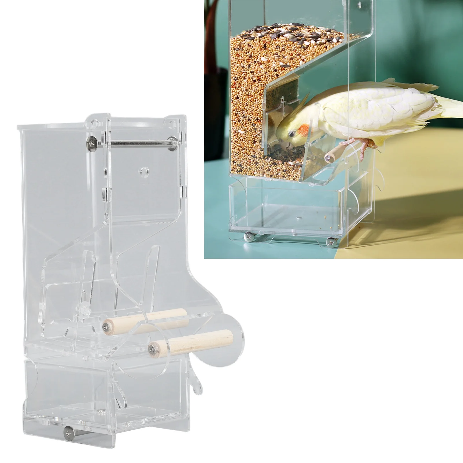 Automatic Parrot Feeder, Transparent Bird Cage, Prevent Spillage and Splashing, Easy Installation, Acrylic