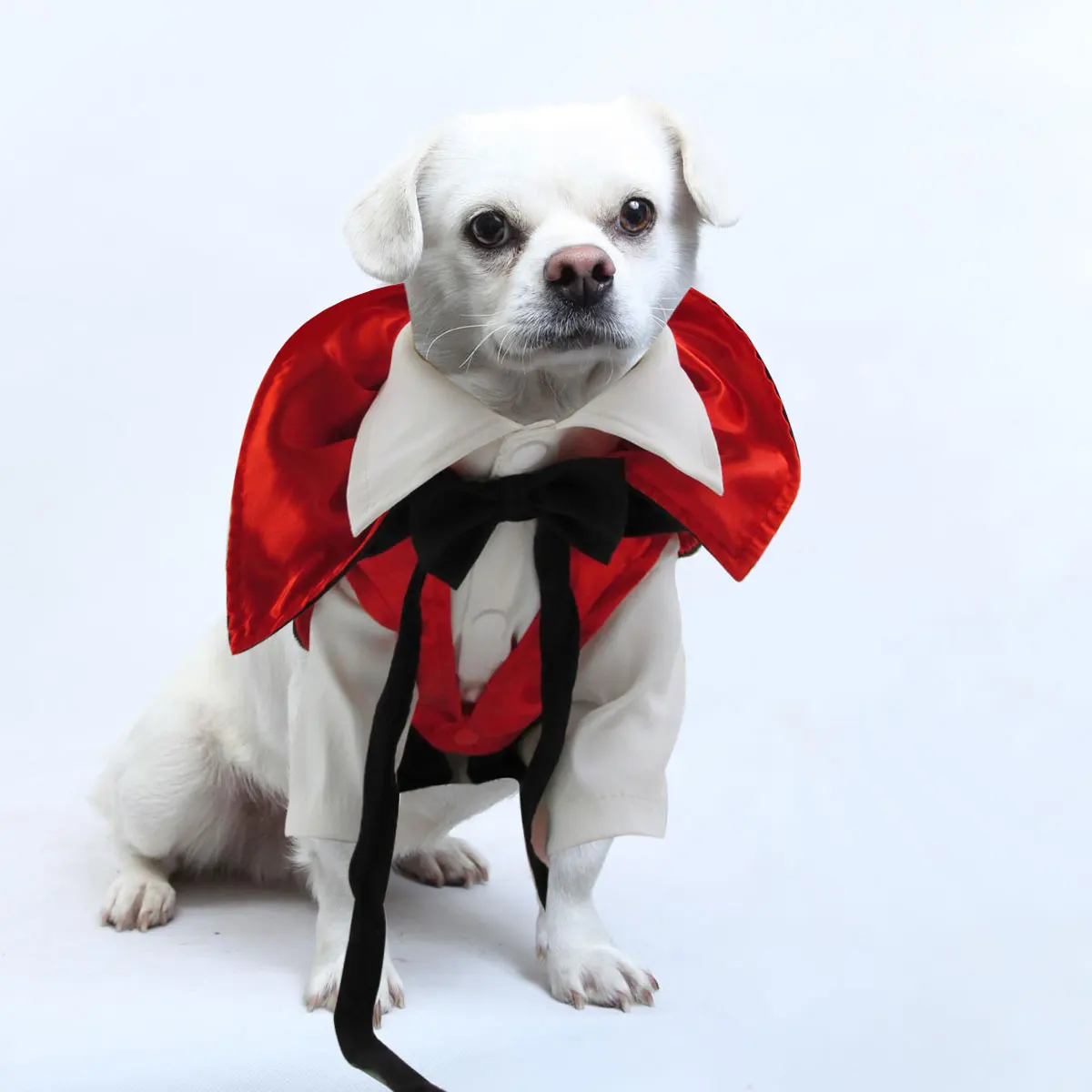 

Pet Vampire Costume For Dogs, Bloodsucker Design Halloween Dog Clothes, Durable Outdoor Wear, Funky Pet Supplies, Birthday
