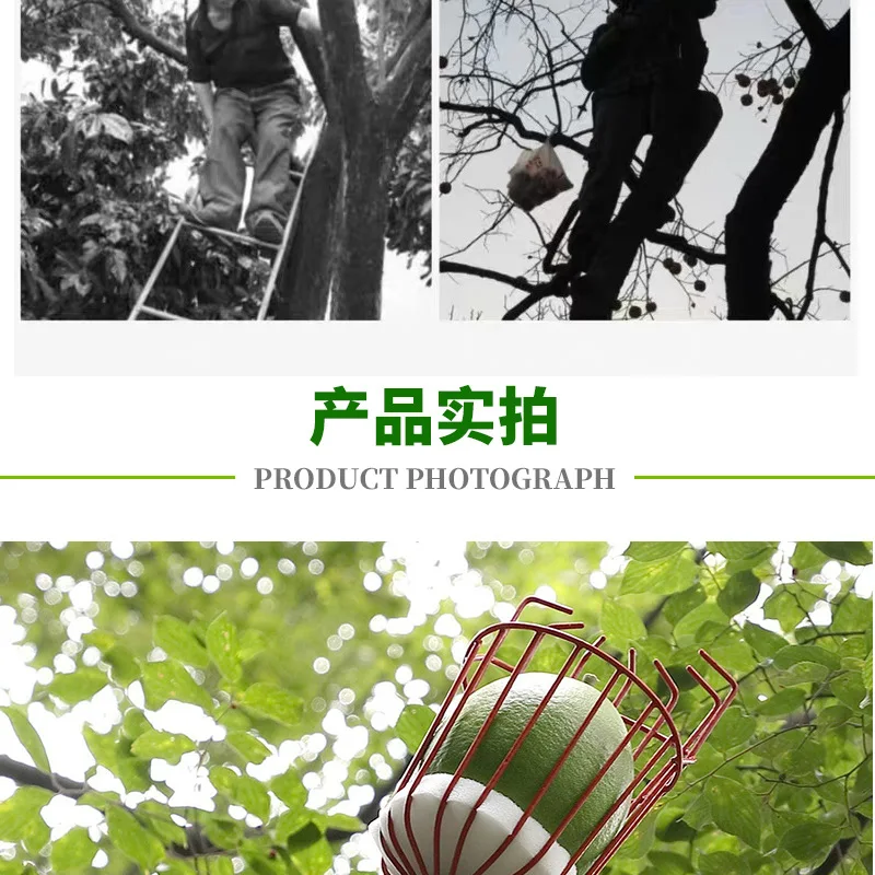 Stainless Steel Fruit Picker, High Reach Harvest Tool for Garden Fruit Picking
