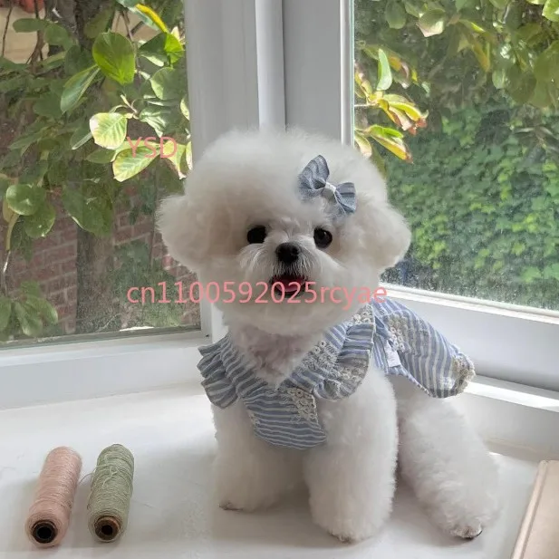 

Spring Summer Fashion Pet Dress Breathable Thin Style for Small Medium Dogs and Cats