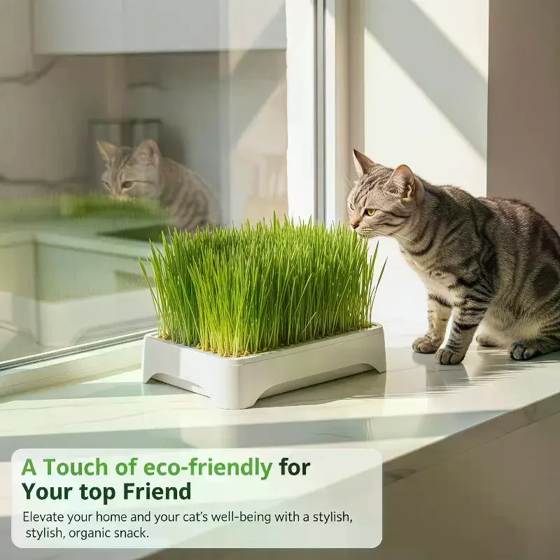 Pet Cat Grass Planting Basin Soilless Culture Wheat Seedling Pot Kitten Grass Hydroponic Device Horticultural Planting Pot