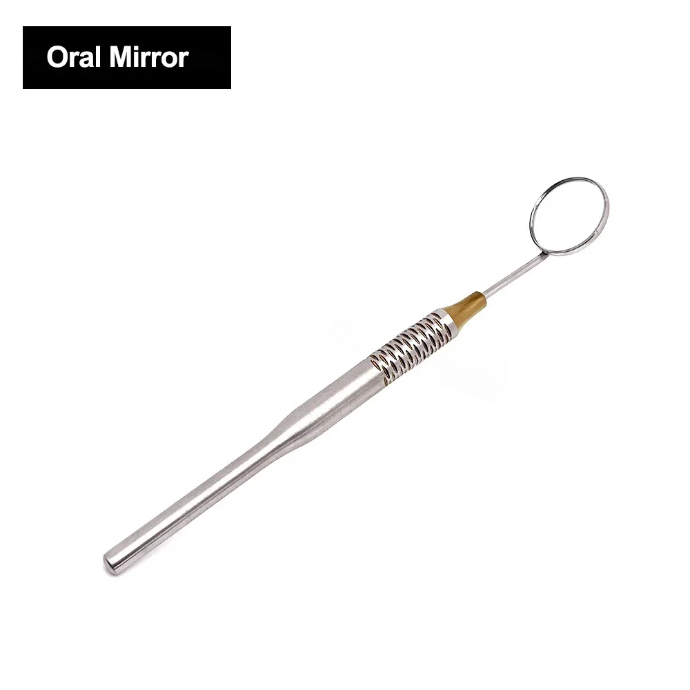 Stainless Steel Dental Mouth Mirror and Explorer Probe Set Oral Examination Instrument for Dentist Use