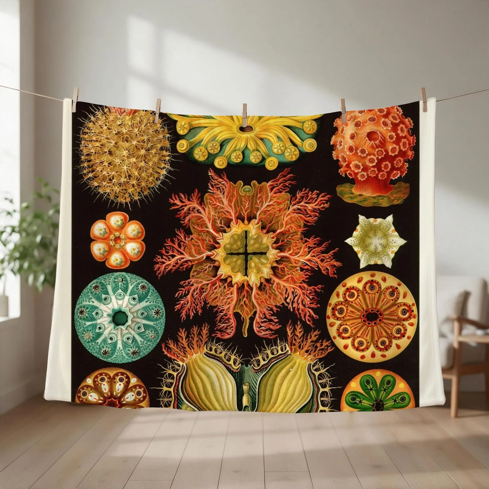 Ernst Haeckel - Ascidiae (Sea Squirts) - Vintage Botanical illustration Throw Blanket