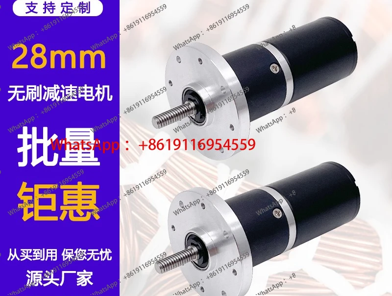 GMP28-TEC2838 28mm planetary DC brushless geared motor long life built-in dynamic 12V speed brushless motor