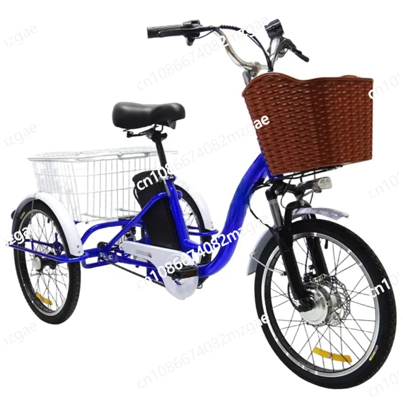 

Adult 3-Wheel Electric Vehicle for Women & Men 350W 48V 20 Inch, Cargo Electric Tricycle with Pull Basket Range 40km