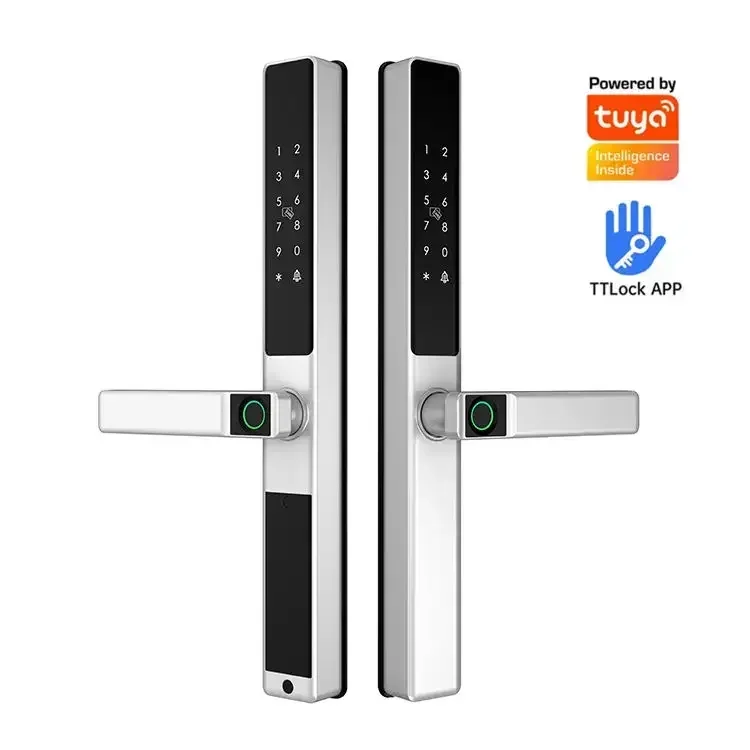 Enrique double side IP65 Waterproof Outdoor Aluminum Sliding Door Lock Tuya TT LOCK Digital Password fingerprint Smart Lock