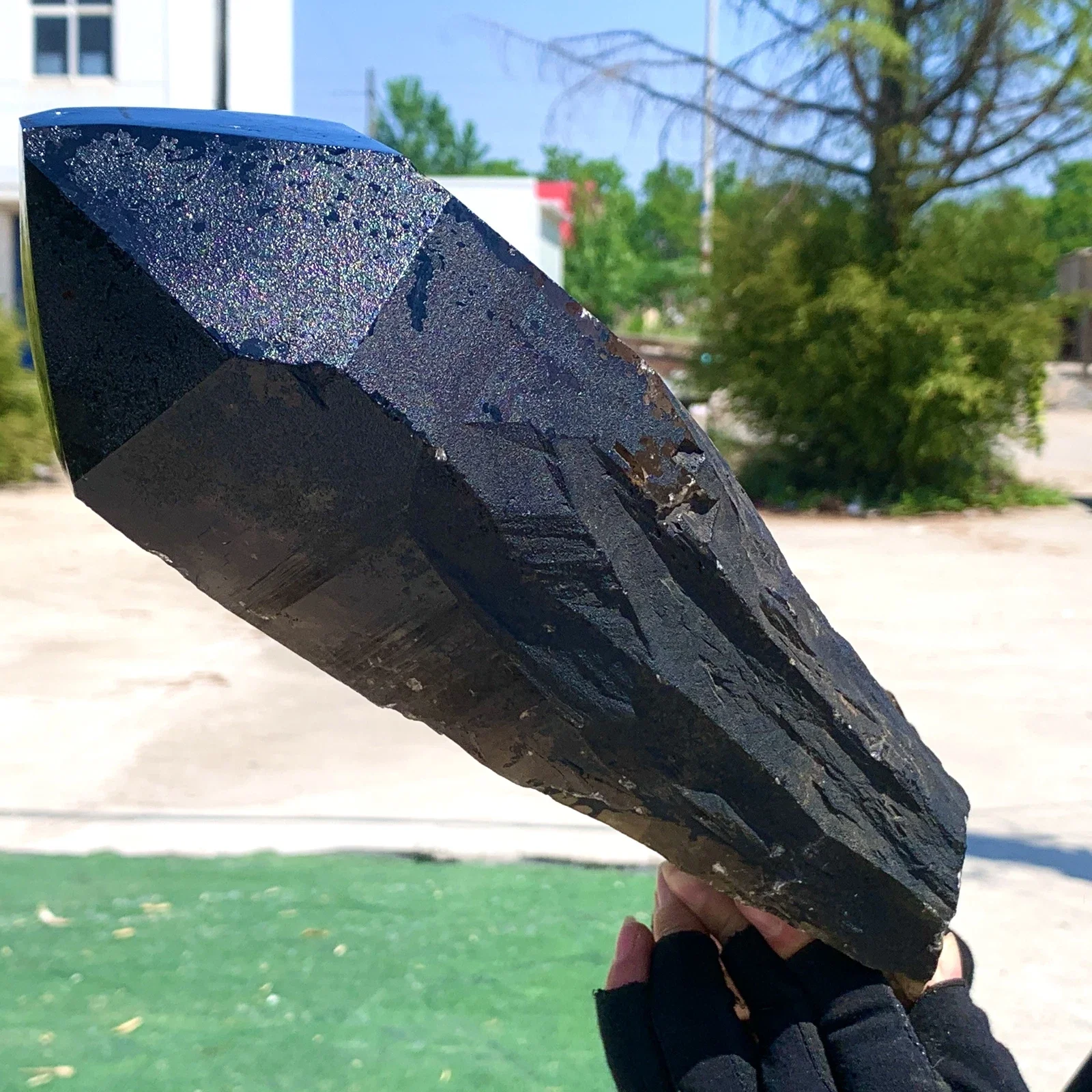 Natural black crystal crystal backbone, energy healing, home decoration, purification transformation, meditation gift.