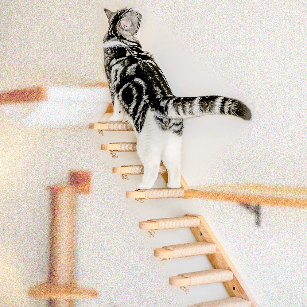 Cat Climbing Steps Wall Mounted Pet Furniture Shelf With Wooden Sisal Rope Scratching Post Scratcher Tree Tower Cat Accessories