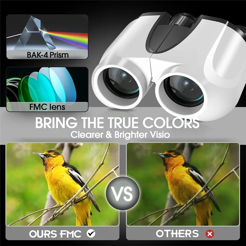 مناظير 10X25 مناظير مدمجة مقاومة للماء مع رؤية ليلية منخفضة الإضاءة للحفلات الرياضية في الهواء الطلق ومشاهدة الطيور