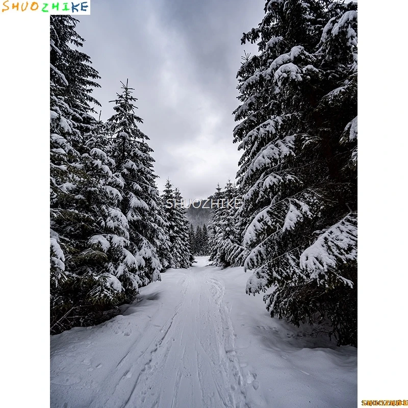 قطرات خلفية للتصوير الفوتوغرافي للغابات الشتوية ، طريق مغطى بالثلوج ، ندف الثلج ، أشجار التنوب ، خلفية الصورة ،