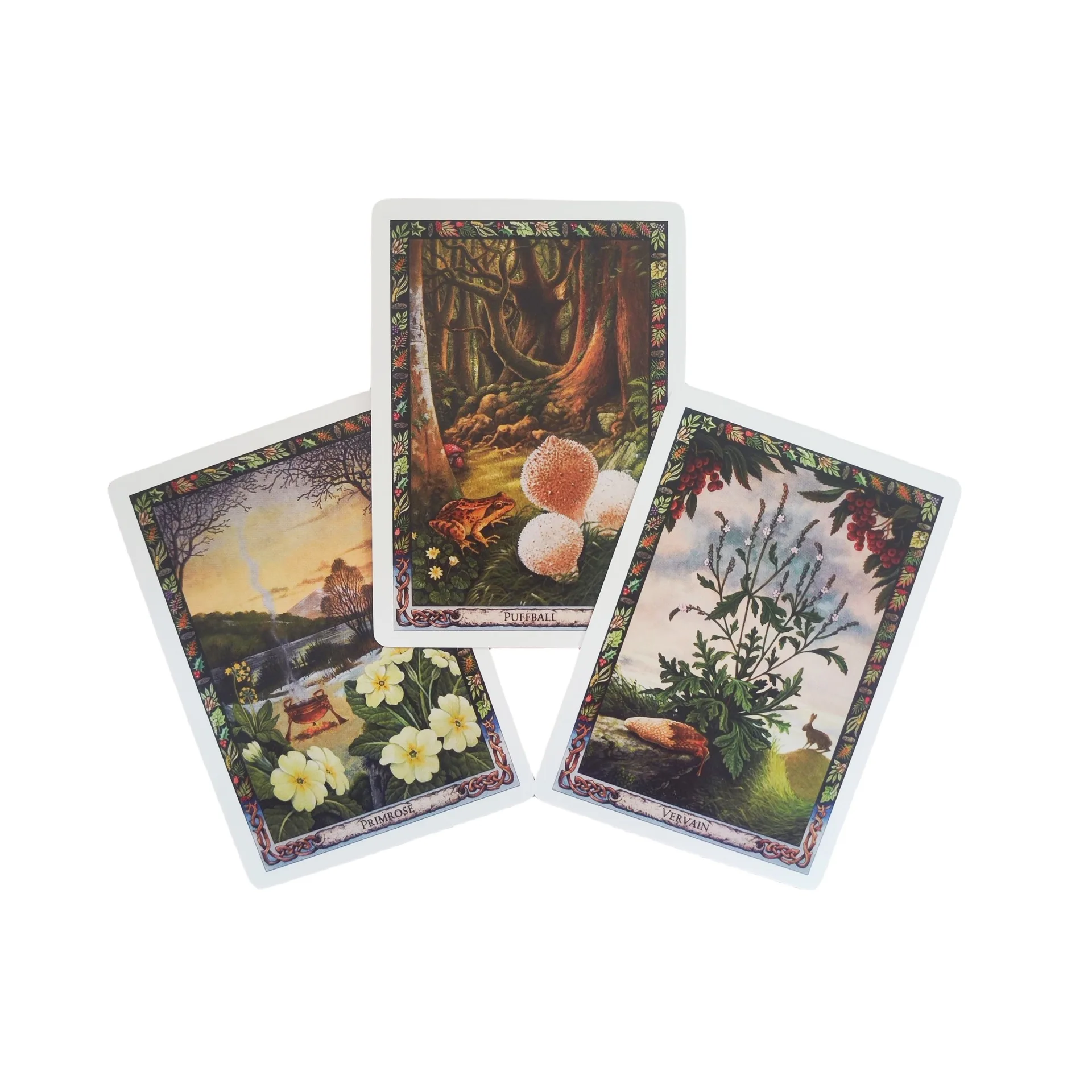 The Druid Plant Oracle Cards 36 Sheet English Version Divination Board Game Tarot Cards for Plant Enthusiasts