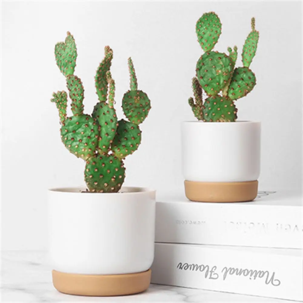 Round Cactus Succulent Plants Garden Supply Self Watering Flower Pot With Drainage Hole Flower Containers Indoor Orchid Pots