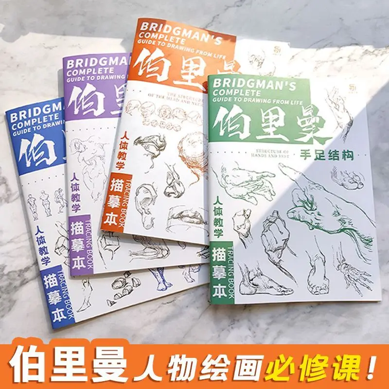 Berryman's Teaching Copy of The Human Body Tracing Book Set mit 4 Büchern, dynamische Skala, Kopf- und Halsstruktur, Skizze für den menschlichen Körper