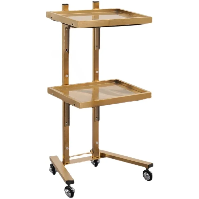

Stainless Steel Salon Trolley Home Salon Furniture Foldable Acrylic Storage Shelf Multifunctional Nail Art Tool Cart with Wheels